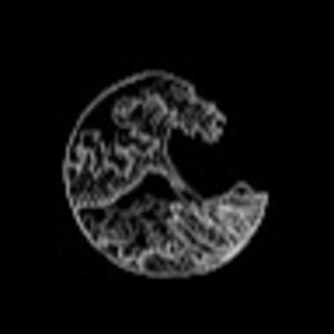 Meet your Posher, Elisha